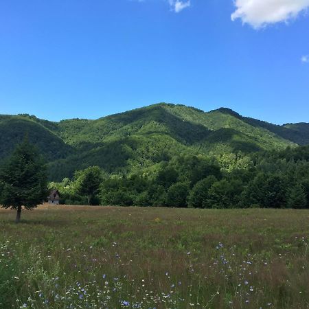 Willa Roua - Apuseni Mountains Pietroasa  Zewnętrze zdjęcie