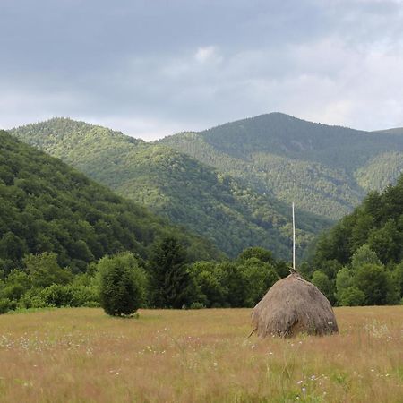 Willa Roua - Apuseni Mountains Pietroasa  Zewnętrze zdjęcie