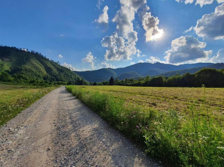 Willa Roua - Apuseni Mountains Pietroasa  Zewnętrze zdjęcie