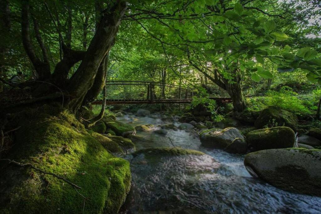 Willa Roua - Apuseni Mountains Pietroasa  Zewnętrze zdjęcie