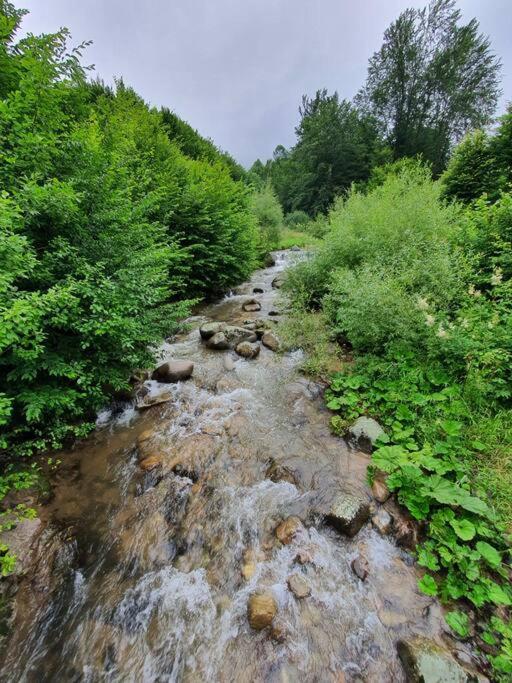 Willa Roua - Apuseni Mountains Pietroasa  Zewnętrze zdjęcie