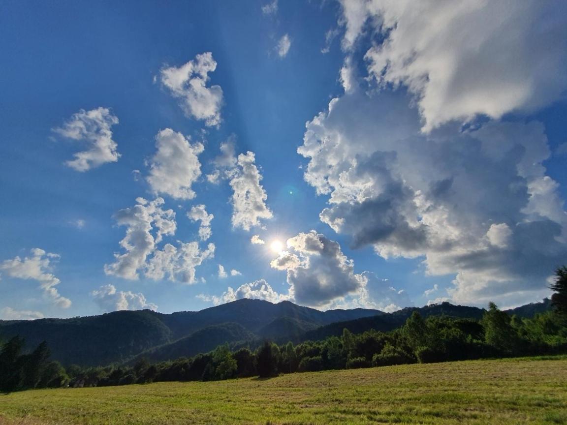 Willa Roua - Apuseni Mountains Pietroasa  Zewnętrze zdjęcie