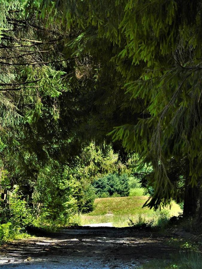 Willa Roua - Apuseni Mountains Pietroasa  Zewnętrze zdjęcie