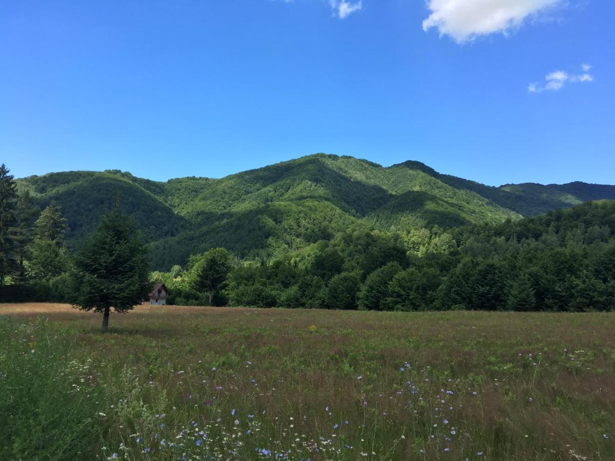 Willa Roua - Apuseni Mountains Pietroasa  Zewnętrze zdjęcie