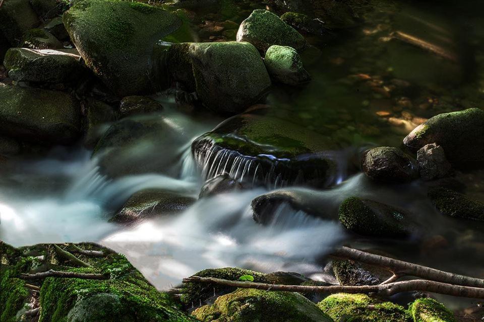 Willa Roua - Apuseni Mountains Pietroasa  Zewnętrze zdjęcie