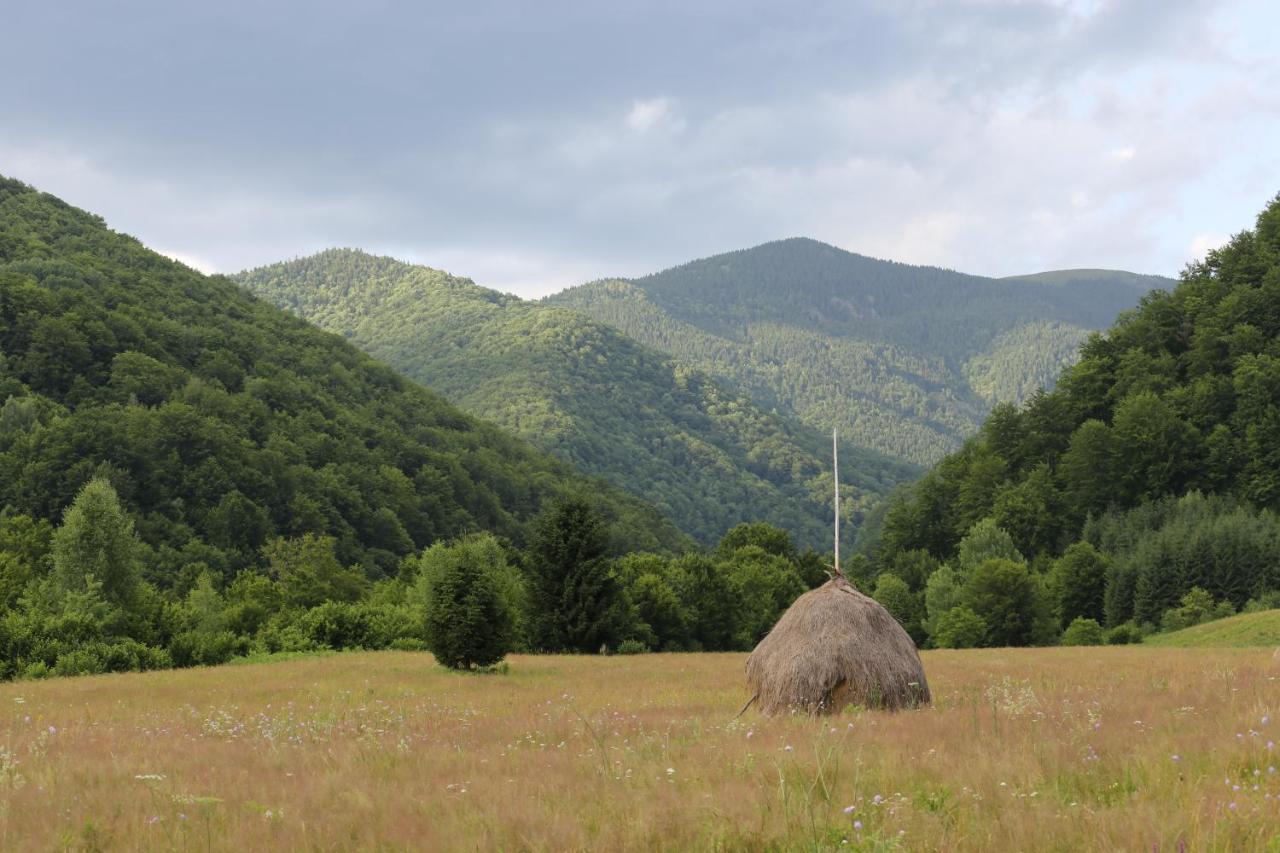 Willa Roua - Apuseni Mountains Pietroasa  Zewnętrze zdjęcie