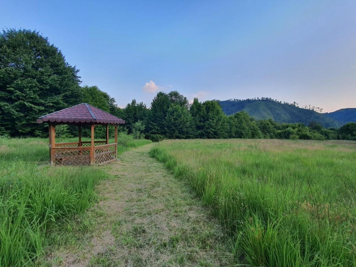 Willa Roua - Apuseni Mountains Pietroasa  Zewnętrze zdjęcie