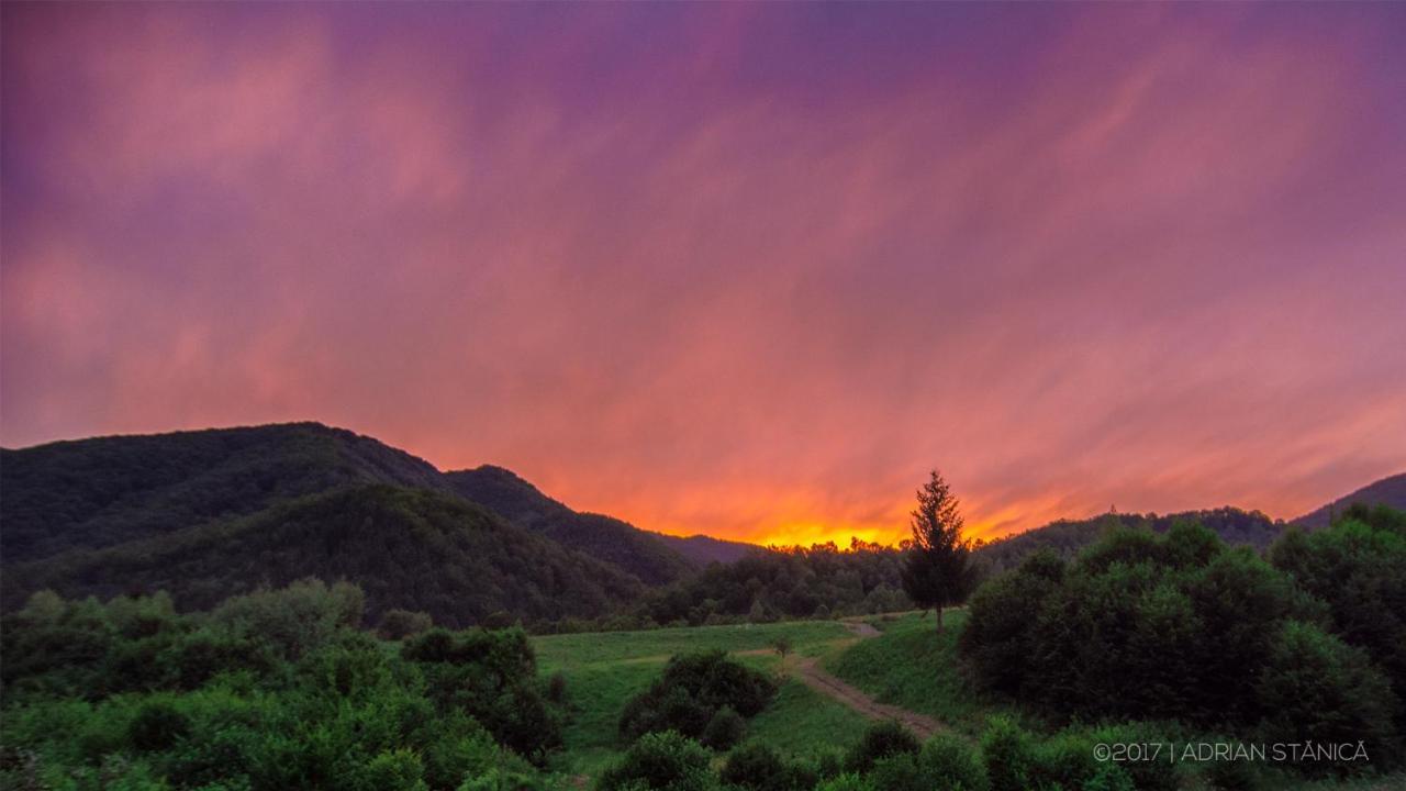 Willa Roua - Apuseni Mountains Pietroasa  Zewnętrze zdjęcie