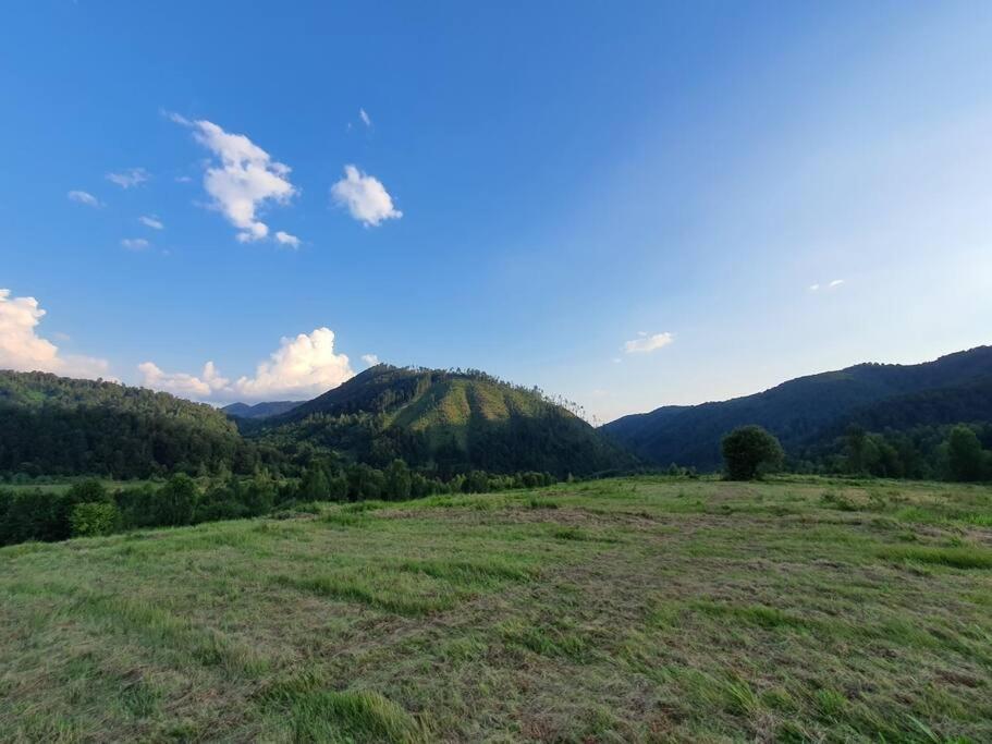 Willa Roua - Apuseni Mountains Pietroasa  Zewnętrze zdjęcie