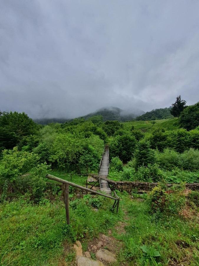 Willa Roua - Apuseni Mountains Pietroasa  Zewnętrze zdjęcie